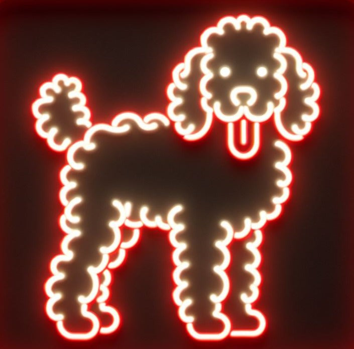 labradoodle neon sign