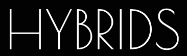 Custom Word Neon Sign