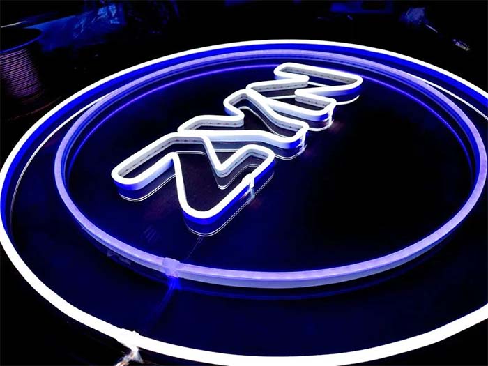 ZYN Neon Sign