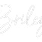 Custom Neon: Briley
