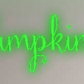 Custom Neon: The Pumpkin K...