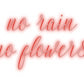 Custom Neon: no rain
no f...