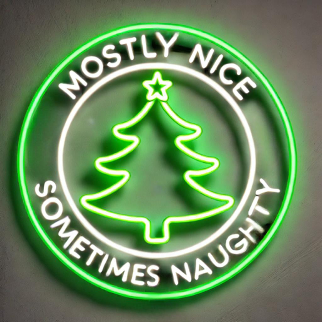 mostly nice sometimes naughty neon sign