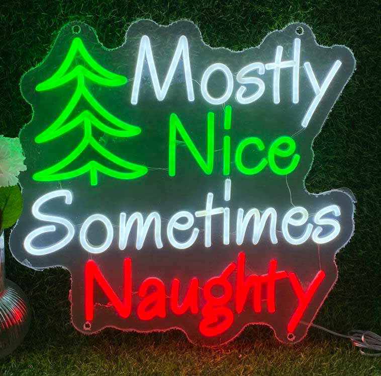 Mostly Nice Sometimes Naughty Neon Sign