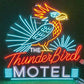 The Thunderbird Motel Neon Sign