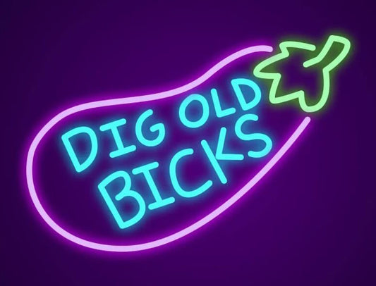 Dig Old Bicks Neon Sign